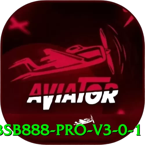 bsb888 - Pro v3.0.1 - programa