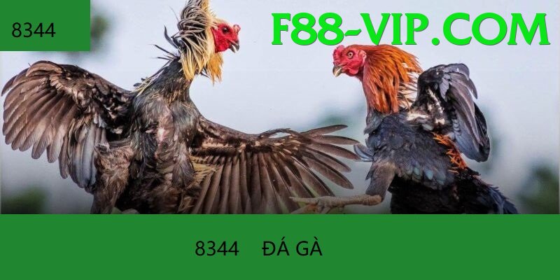 Trường Đấu Đá Gà Chuyên Nghiệp - Đồ họa đỉnh cao